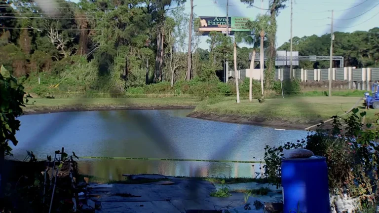 Decades-Old Mystery: Could a Sunken Car in Georgia Hold the Key to a Couple's Disappearance?